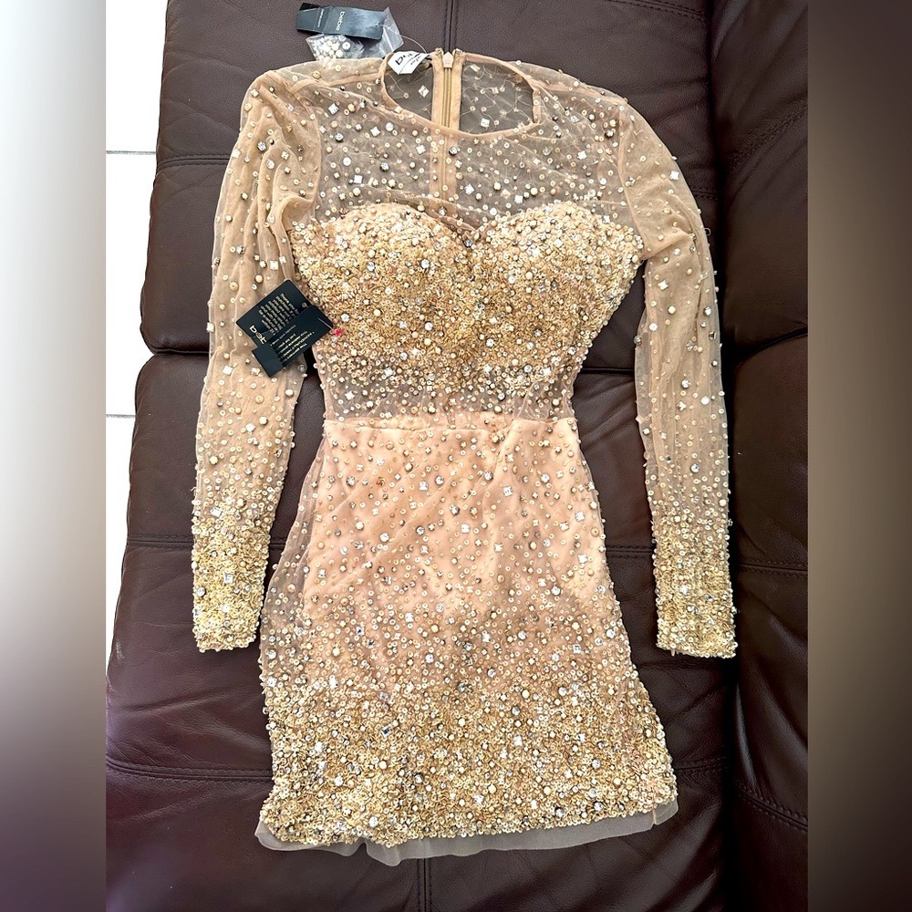 Bebe mesh dress